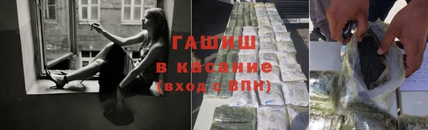 стаф Медногорск