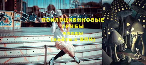 стафф Михайлов
