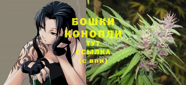 стафф Михайлов
