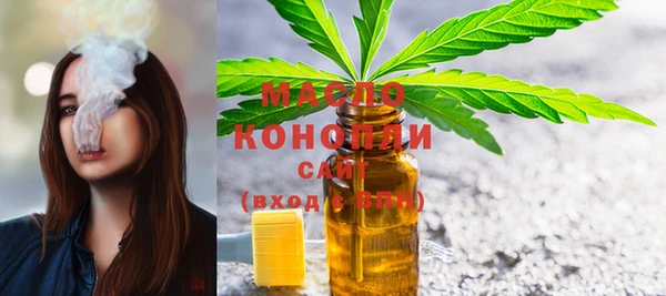 стаф Медногорск