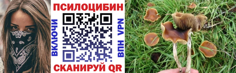 Галлюциногенные грибы мицелий Шилка