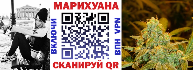 Бошки марихуана гибрид Шилка
